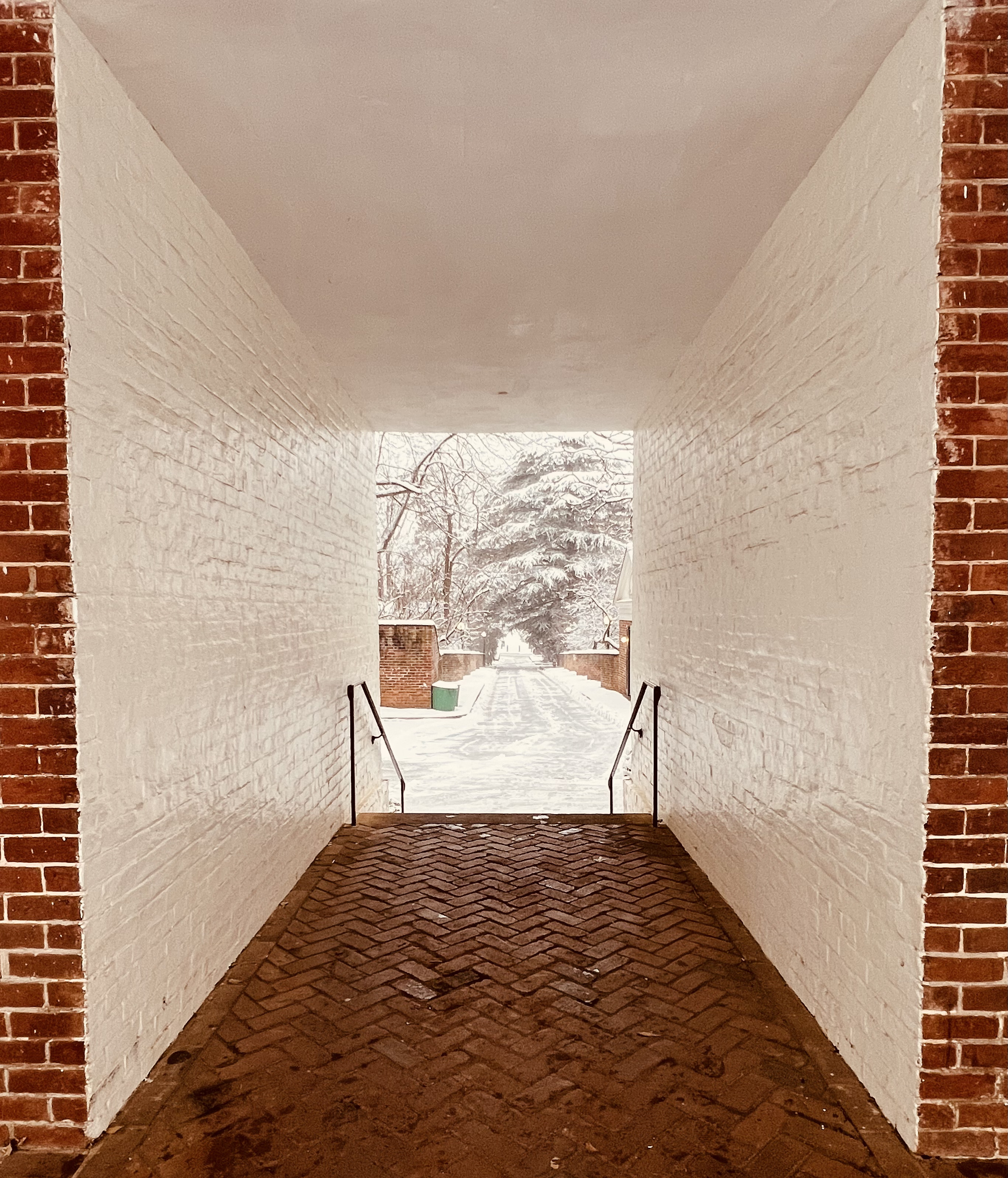 Snowy alleyway by the Lawn Gardens at the University of Virginia